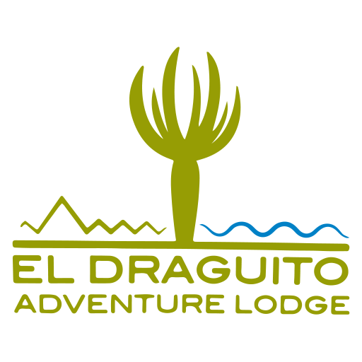 Adventure And Lodge